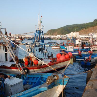 الصيد البحري