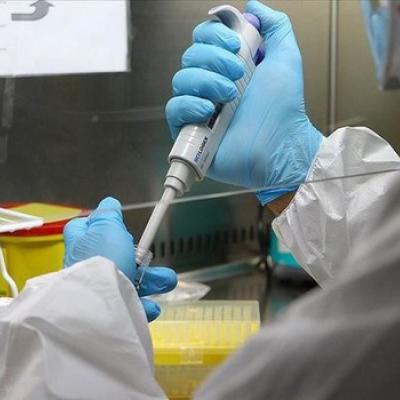 Coronavirus Algérie.06.02.2022
