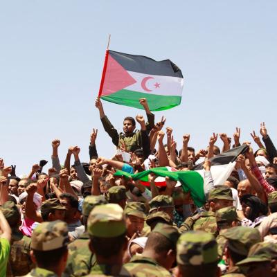 جبهة البوليساريو