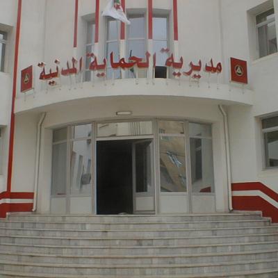 مديرية الحماية الوطنية