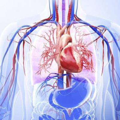  الصيام الصحي