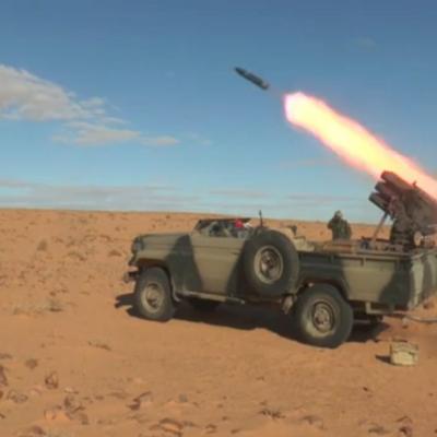 armee_sahraoui_1.jpg