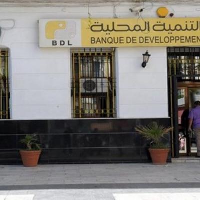 بنك التنمية المحلية