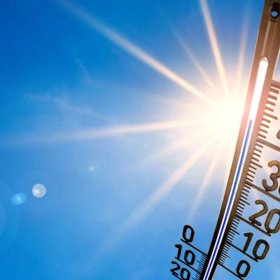 canicule_alger.jpg