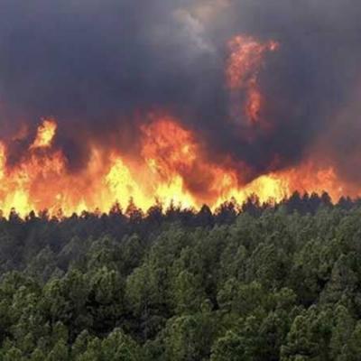 feu_de_foret.jpg