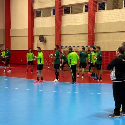 Equipe nationale de handball