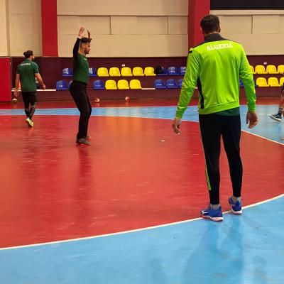 Equipe nationale de handball