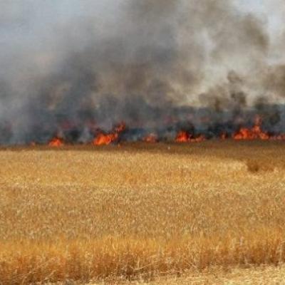 Incendie-Relizane.25.05.2022