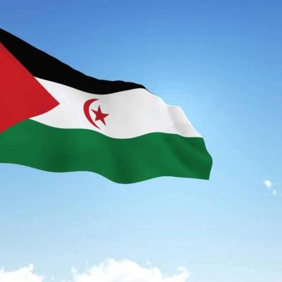 الصحراء الغربية