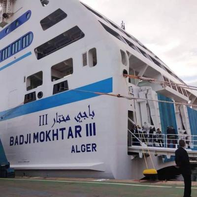 Badji Mokhtar III