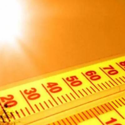 bms-canicule.jpeg