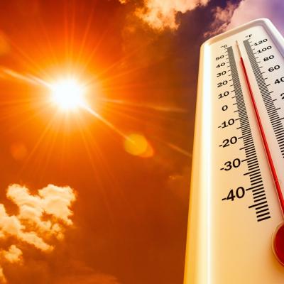 Canicule