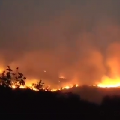 Feux de forets à Sétif 