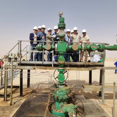 sonatrach_produc.jpg
