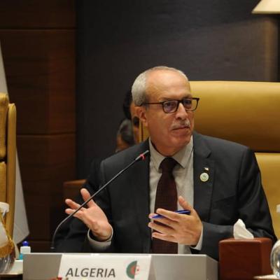 وزير البريد والمواصلات السلكية واللاسلكية كريم بيبي تريكي