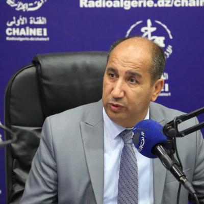 الخبير الإقتصادي الدكتور  الهواري تيغرسي