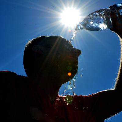 canicule_pp.jpg