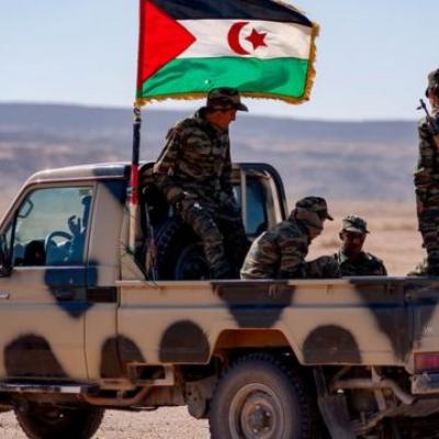 الصحراء الغربية