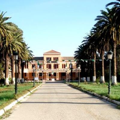 جامعة الجيلالي اليابس