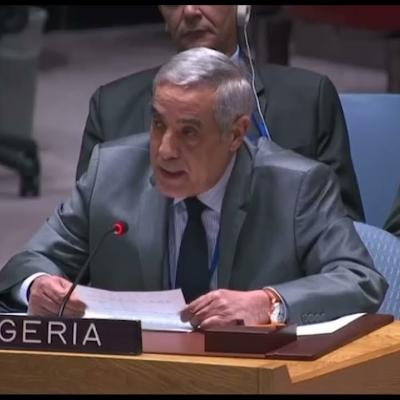سفير الجزائر لدى الأمم المتحدة نذير العرباوي