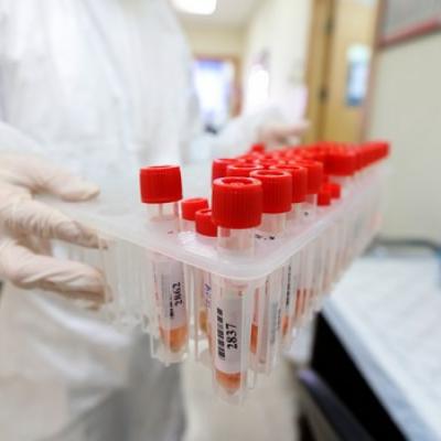 Coronavirus, bilan