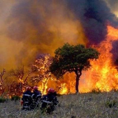 Feu de forets.15.08.2022