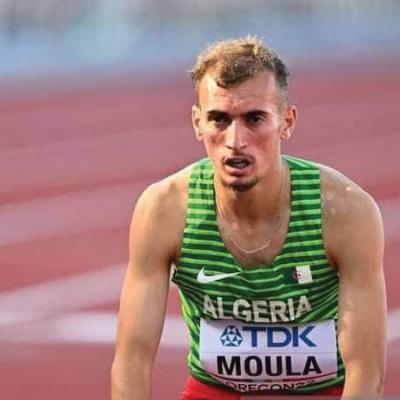 سليمان مولى