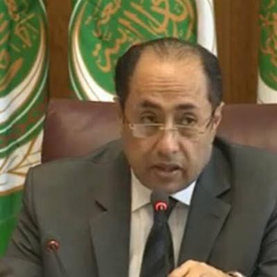 مساعد الأمين العام لجامعة الدول العربية حسام زكي