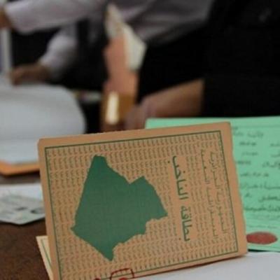 الانتخابات المحلية الجزئية 