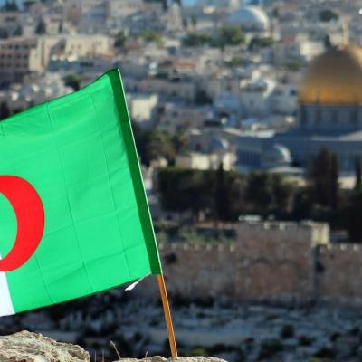 Solidarité absolue de l'Algérie avec la lutte du peuple palestinien