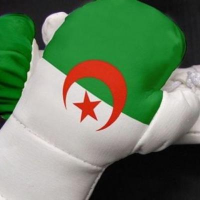 الملاكمة الجزائرية 