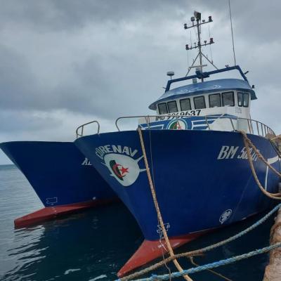 Pêche 27.12.2022