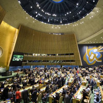 Assemblée générale de l'ONU