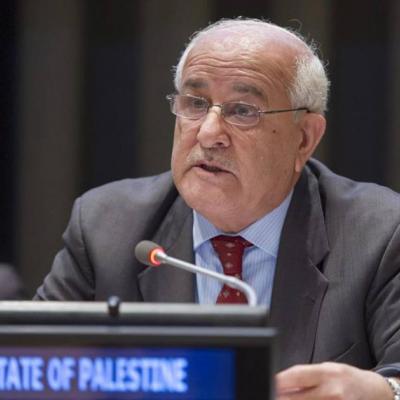فلسطين تطالب بتوفير الحماية الدولية للشعب الفلسطيني من المحتل الصهيوني