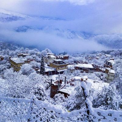 Chutes de neige