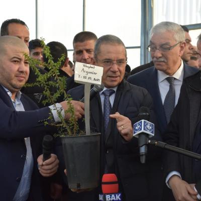 الشروع قريبا في غرس أشجار الأرقان عبر عدد من الولايات