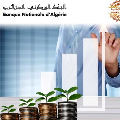 صيرفة اسلامية 