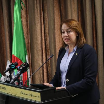 Moualfi Rapport ONU