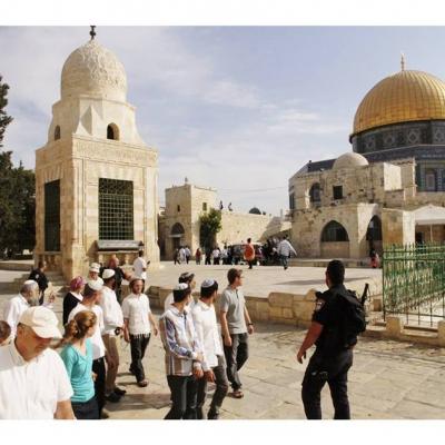  فلسطين : عشرات المستوطنين يقتحمون مجددا المسجد الأقصى المبارك 
