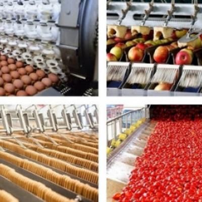 تلبية حاجيات السوق الوطنية والتموقع على المستوى الدولي صناعات غذائية