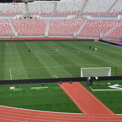 stade-19-mai-1956-annaba.