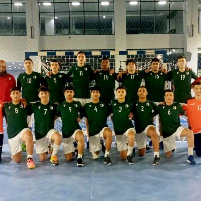 Equipe nationale de handball U17