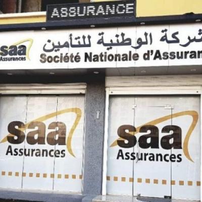 شركات التامين وإعادة التأمين