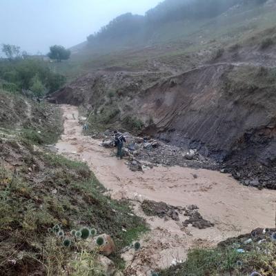 La fillette portée disparue à Guelma retrouvée sans vie