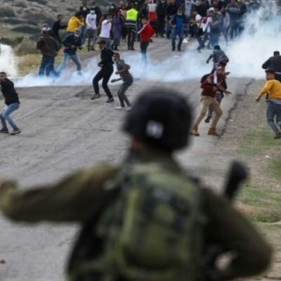 فلسطين