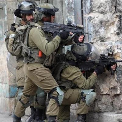 فلسطين 