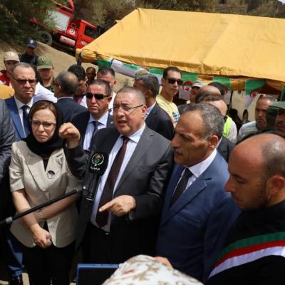 مراد في الأخضرية 
