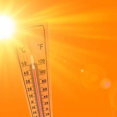 canicule05.jpeg