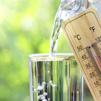 canicule_d_alge.j