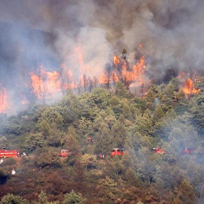 feu_de_foret.j